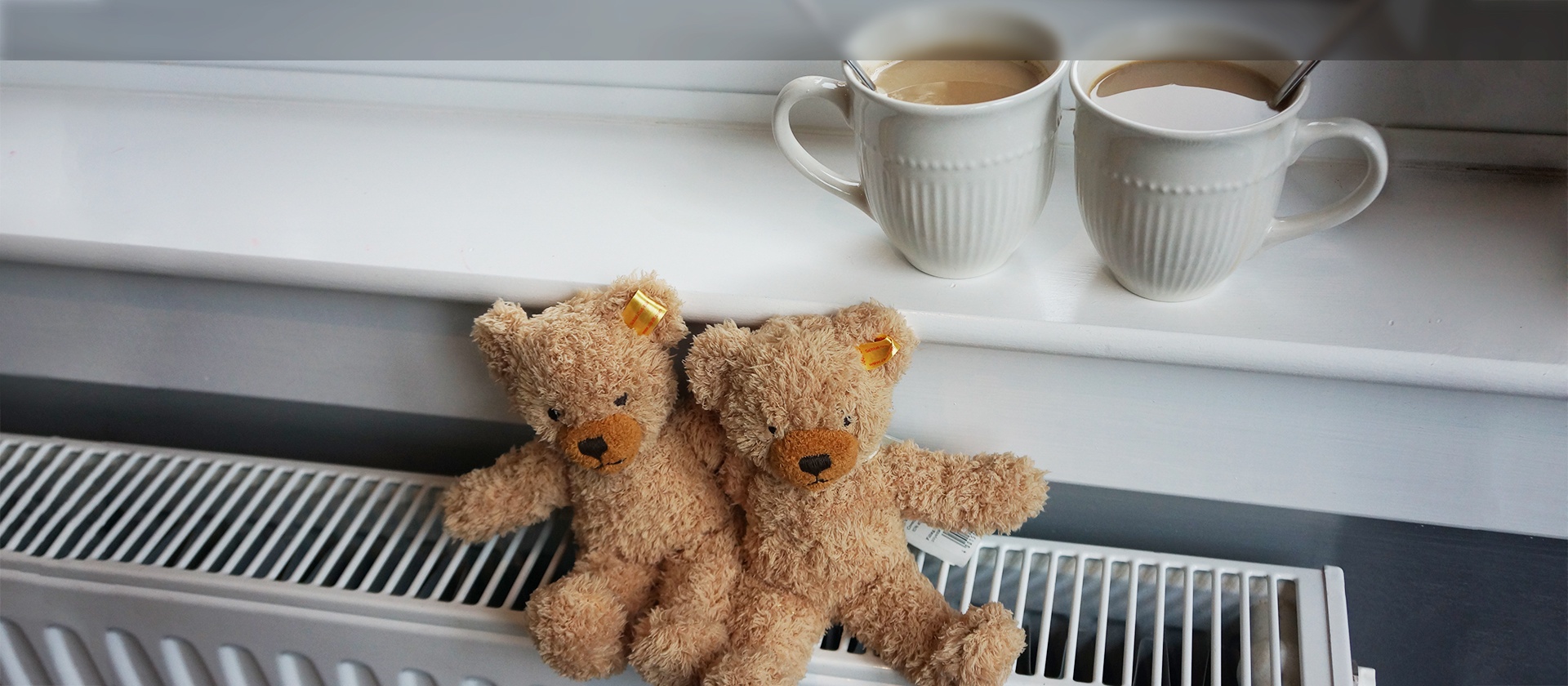 Teddy bears warming on a radiator beside two mugs of tea